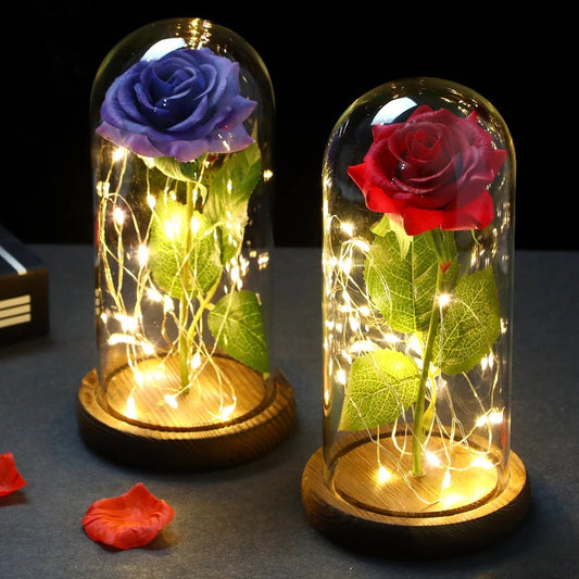 Valentine Day Gift LED Enchanted Galaxy 24K Rose